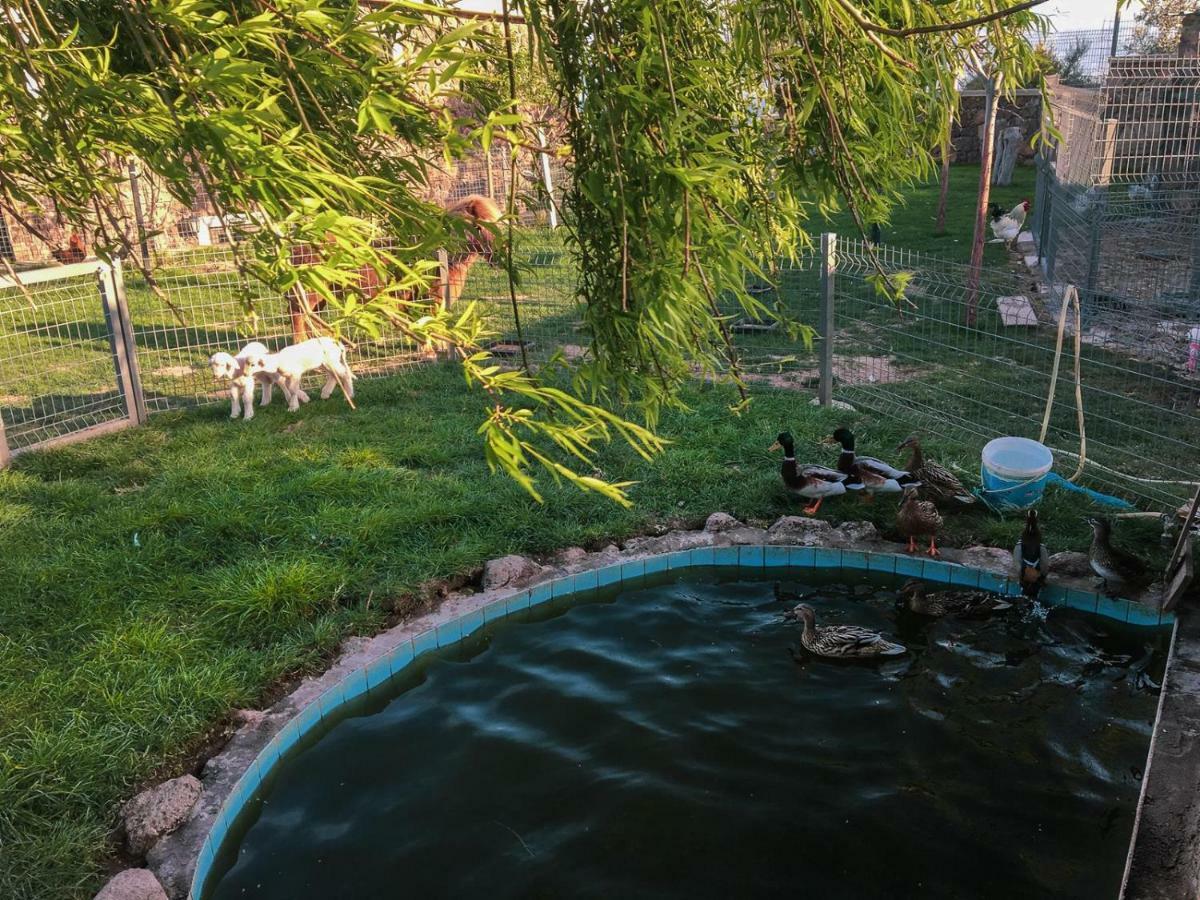 Assos Alis Farm Boutique Hotel & Spa Dış mekan fotoğraf
