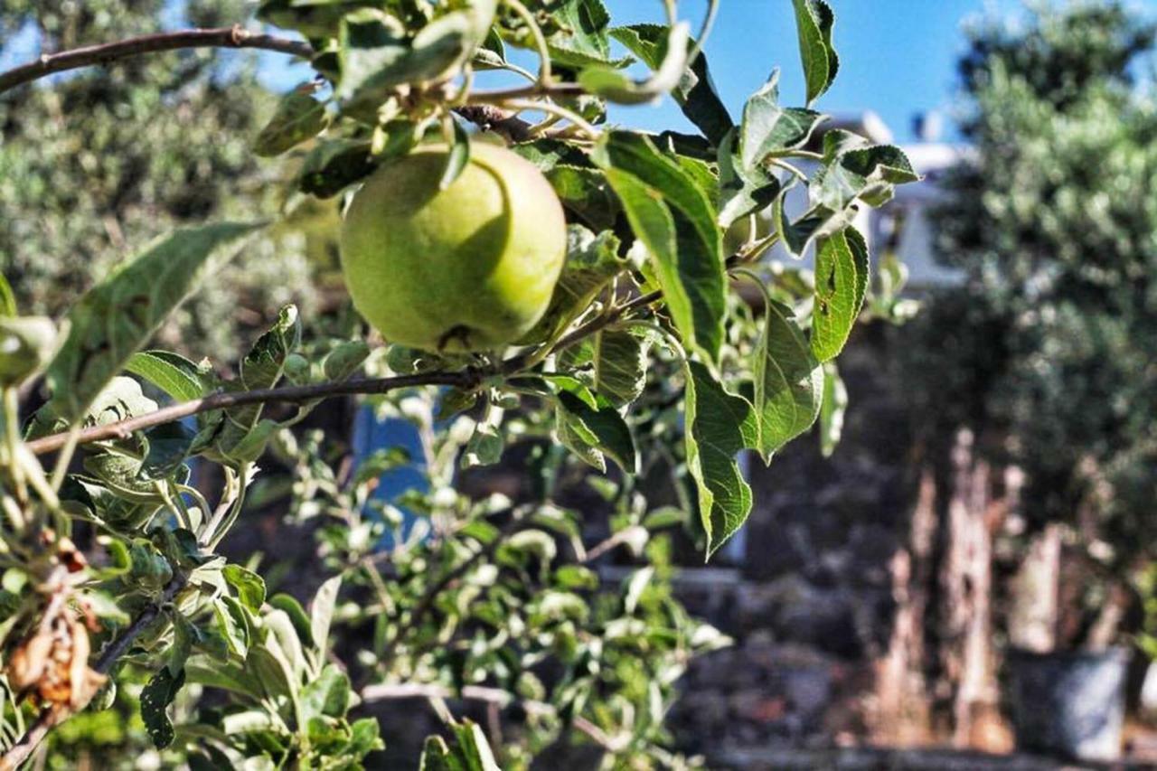 Assos Alis Farm Boutique Hotel & Spa Dış mekan fotoğraf