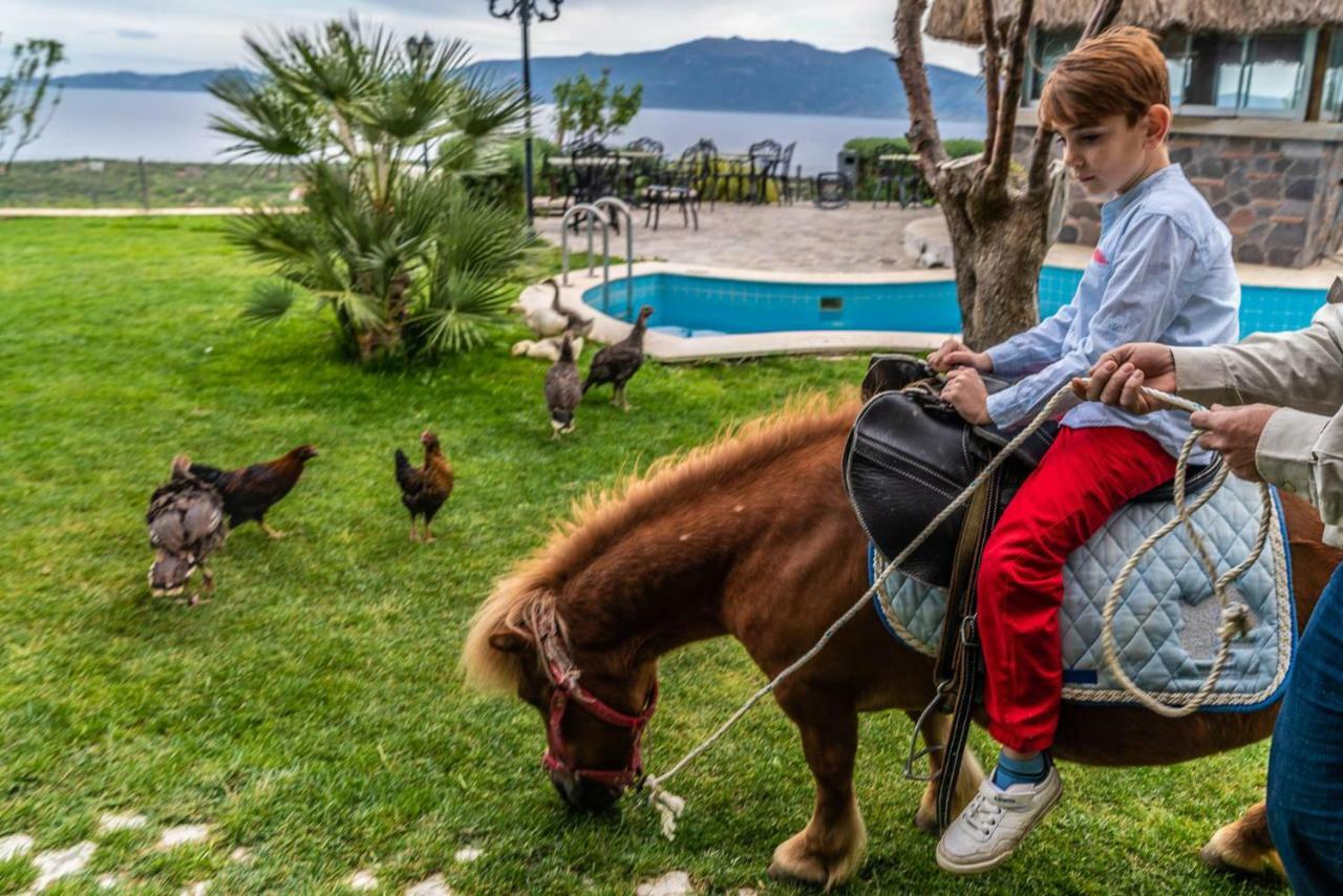 Assos Alis Farm Boutique Hotel & Spa Dış mekan fotoğraf