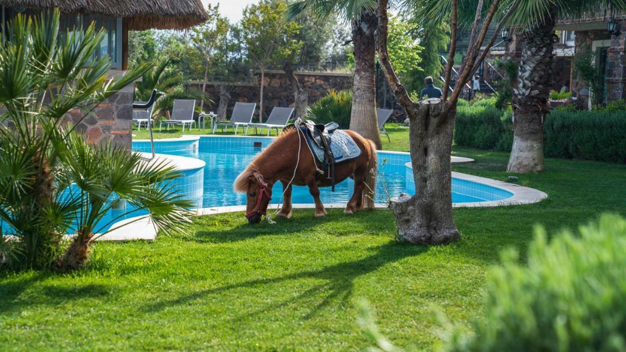 Assos Alis Farm Boutique Hotel & Spa Dış mekan fotoğraf