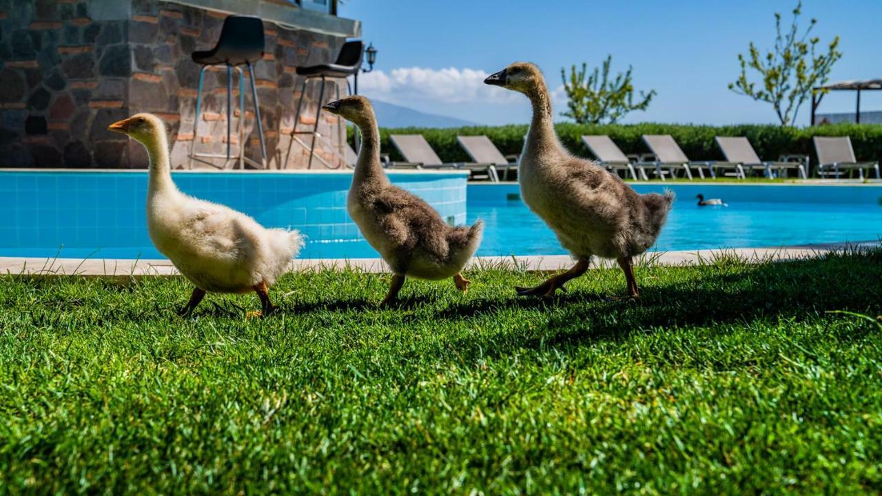 Assos Alis Farm Boutique Hotel & Spa Dış mekan fotoğraf
