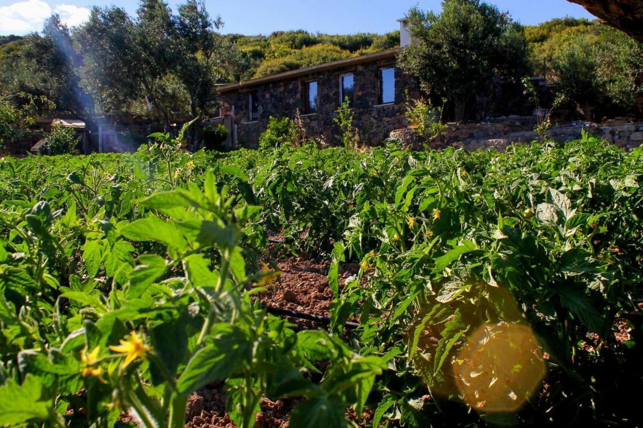 Assos Alis Farm Boutique Hotel & Spa Dış mekan fotoğraf