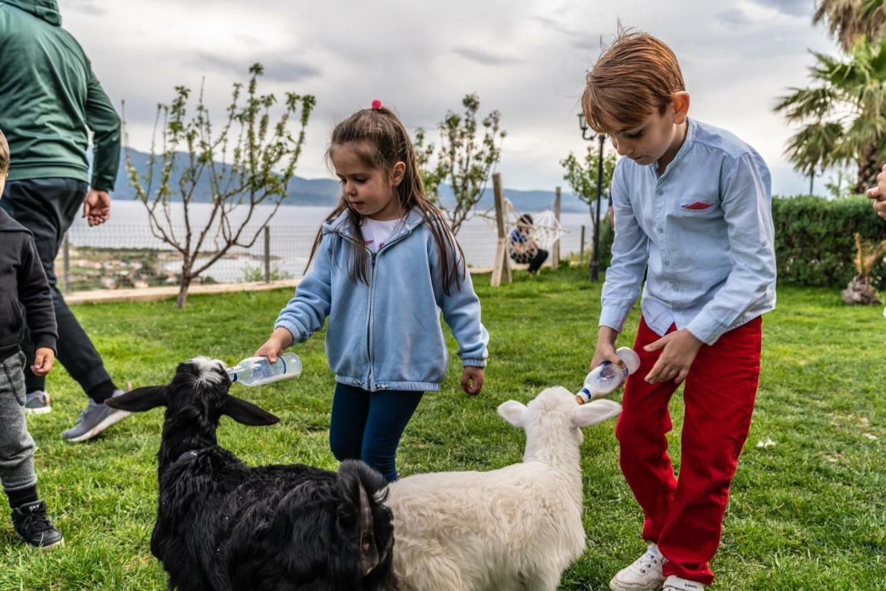 Assos Alis Farm Boutique Hotel & Spa Dış mekan fotoğraf