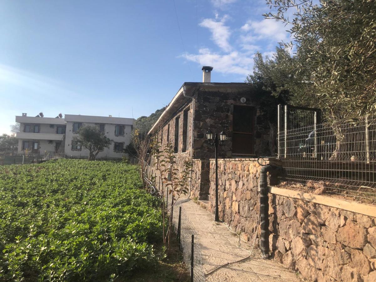 Assos Alis Farm Boutique Hotel & Spa Dış mekan fotoğraf